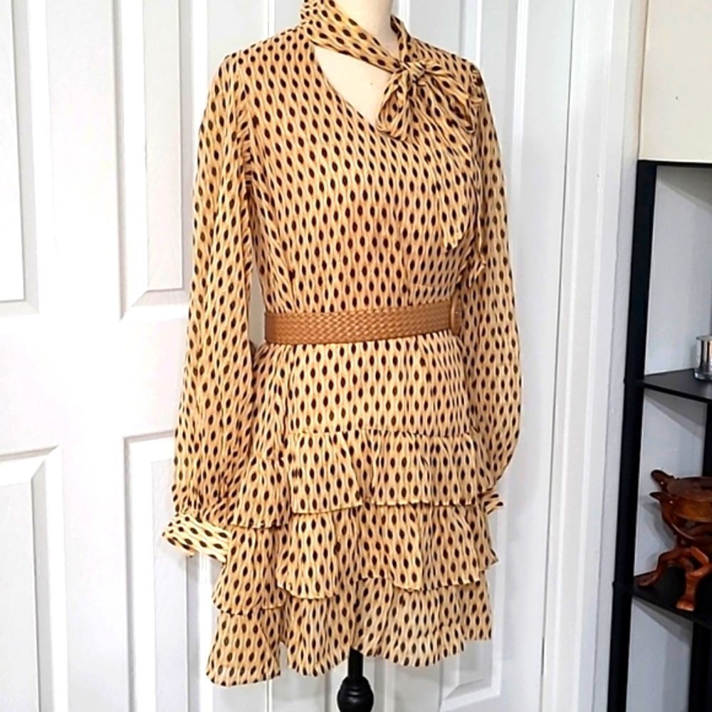 Chiffon Ruffled Dotted Mini Neutral Tan Gold - Picture 4 of 13